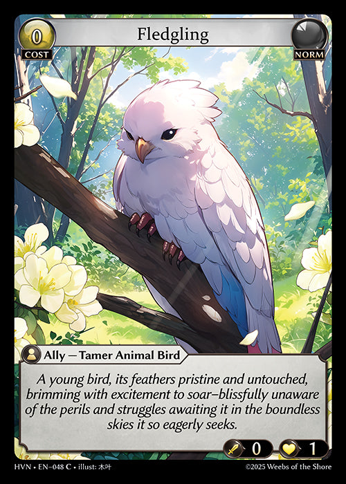 HVN-048 Fledgling