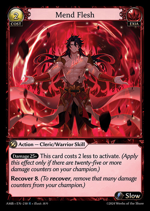AMB-210 Mend Flesh
