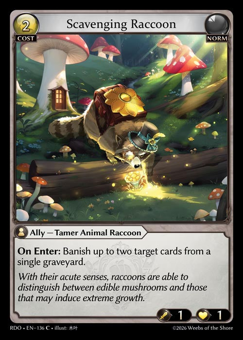 RDO-136 Scavenging Raccoon