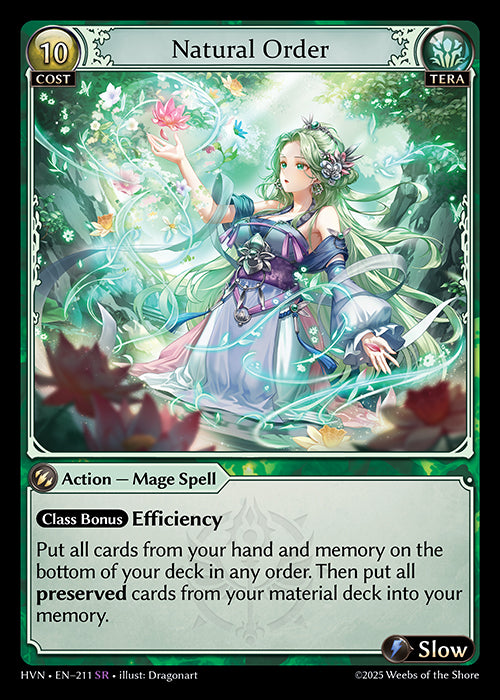 HVN-211 Natural Order