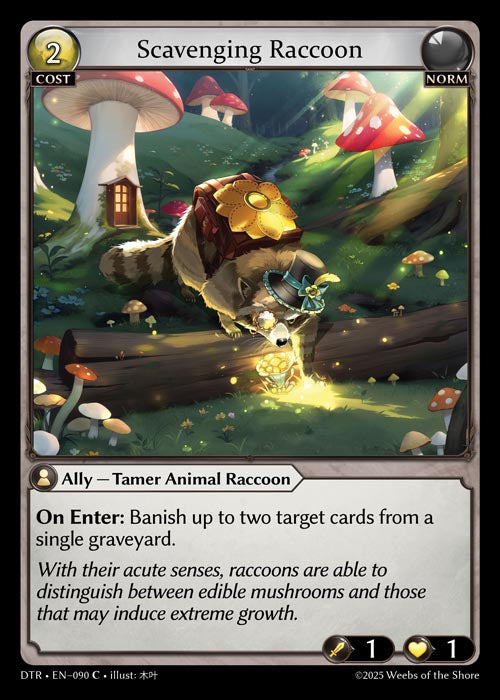 DTR-090 Scavenging Raccoon