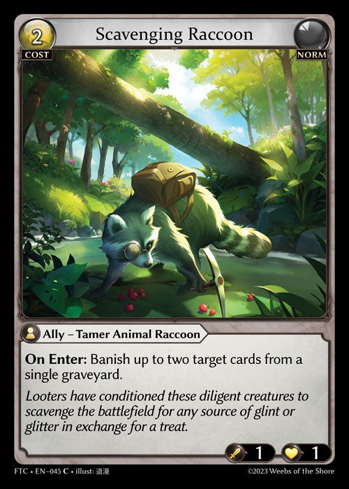 FTC-045 Scavenging Raccoon