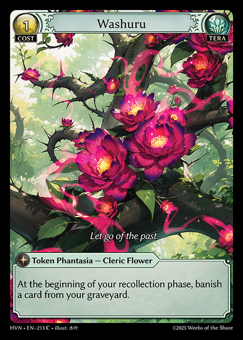 HVN-213 Washuru